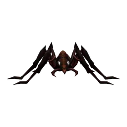 Ant