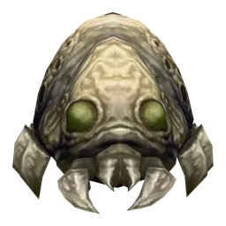 Ant Larva