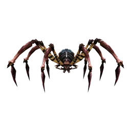 Hunter Tarantula