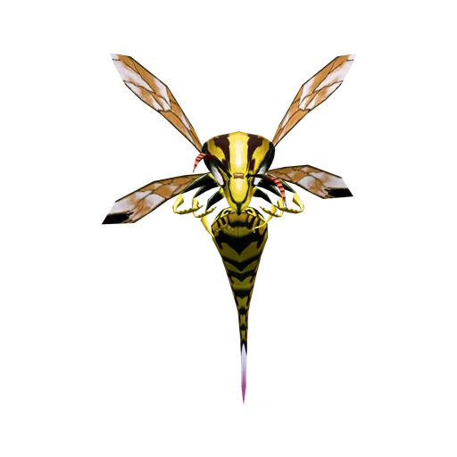 Stinger Wasp Stinger Wasp