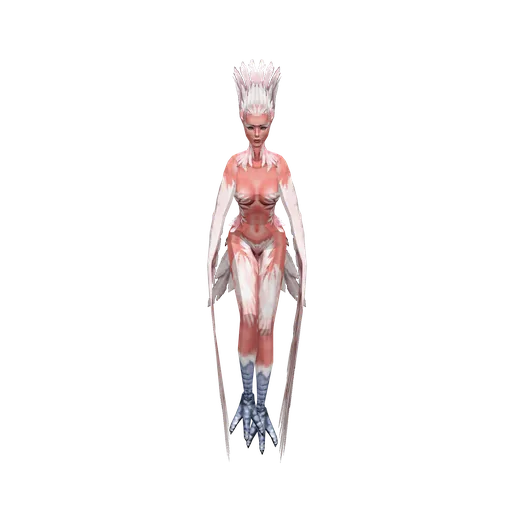Harpy Harpy
