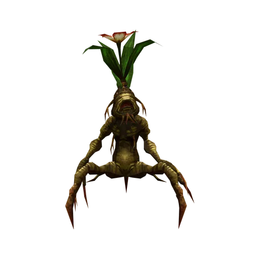 Mandragora Sapling Mandragora Sapling
