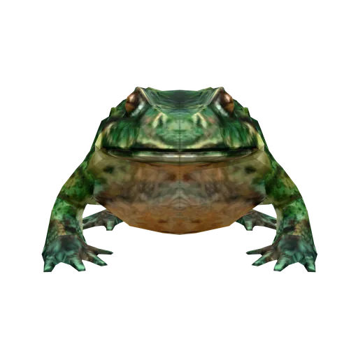 Toad Lord Toad Lord