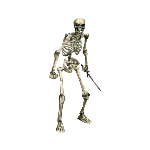 Skeleton Raider Skeleton Raider