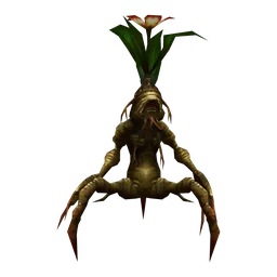 Mandragora Sapling