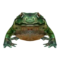 Giant Toad