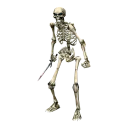 Skeleton Tracker
