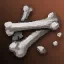 Bone Fragment